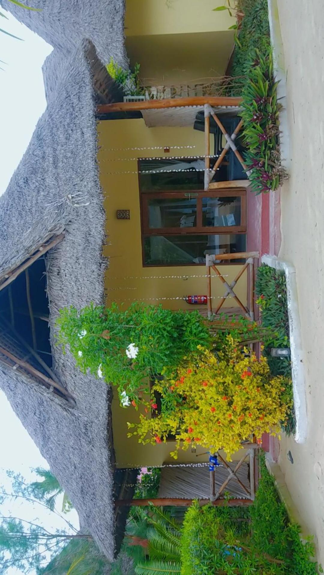 Amber Lodge Pongwe Εξωτερικό φωτογραφία